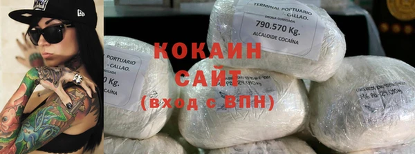 стаф Дмитриев