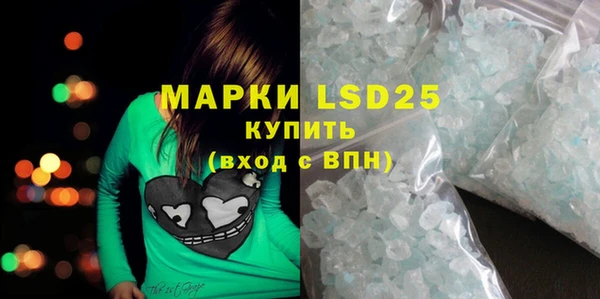 гидропоника Гусиноозёрск