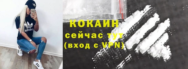 МДПВ Гусев