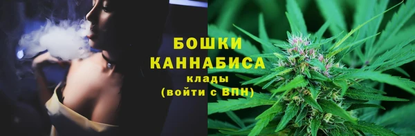 МДПВ Гусев