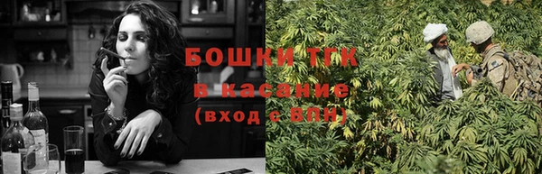 гидропоника Гусиноозёрск