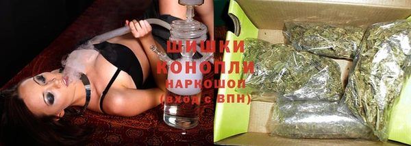 гидропоника Гусиноозёрск