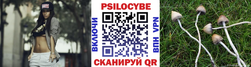 Галлюциногенные грибы MAGIC MUSHROOMS  Купить где  Луга 